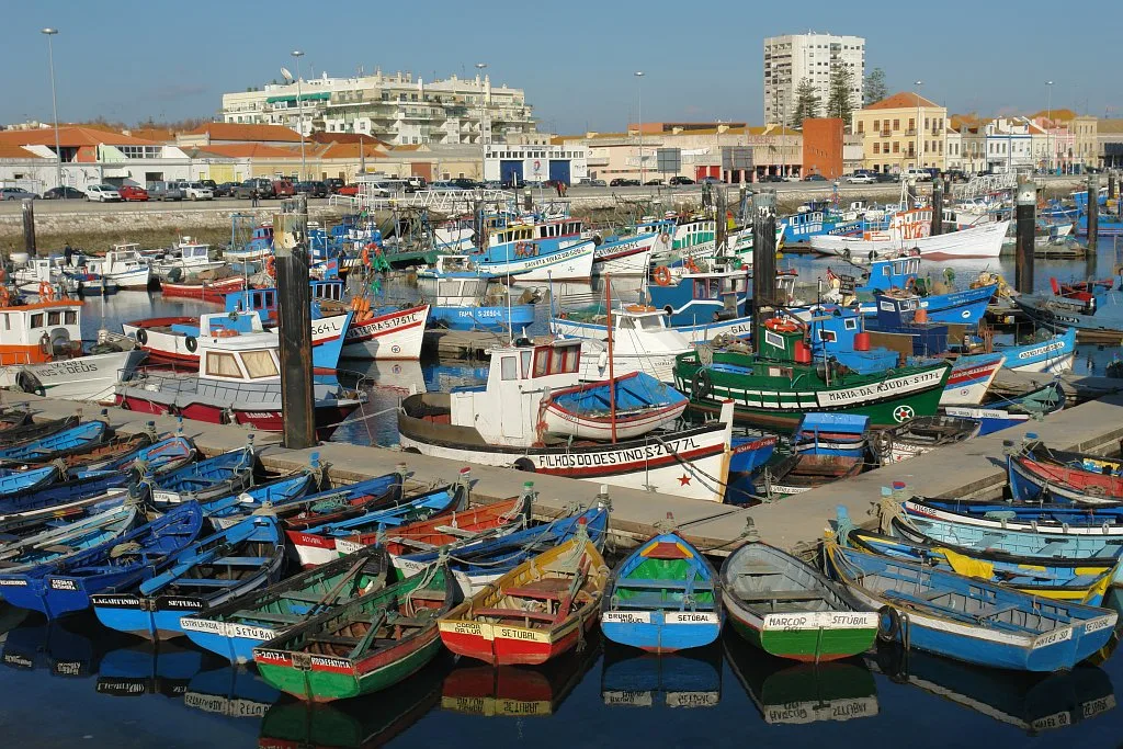 Setúbal fishing harbour — traditional boats